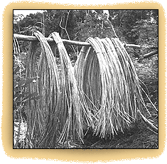 rattan hanging up to dry
