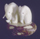 Elephants